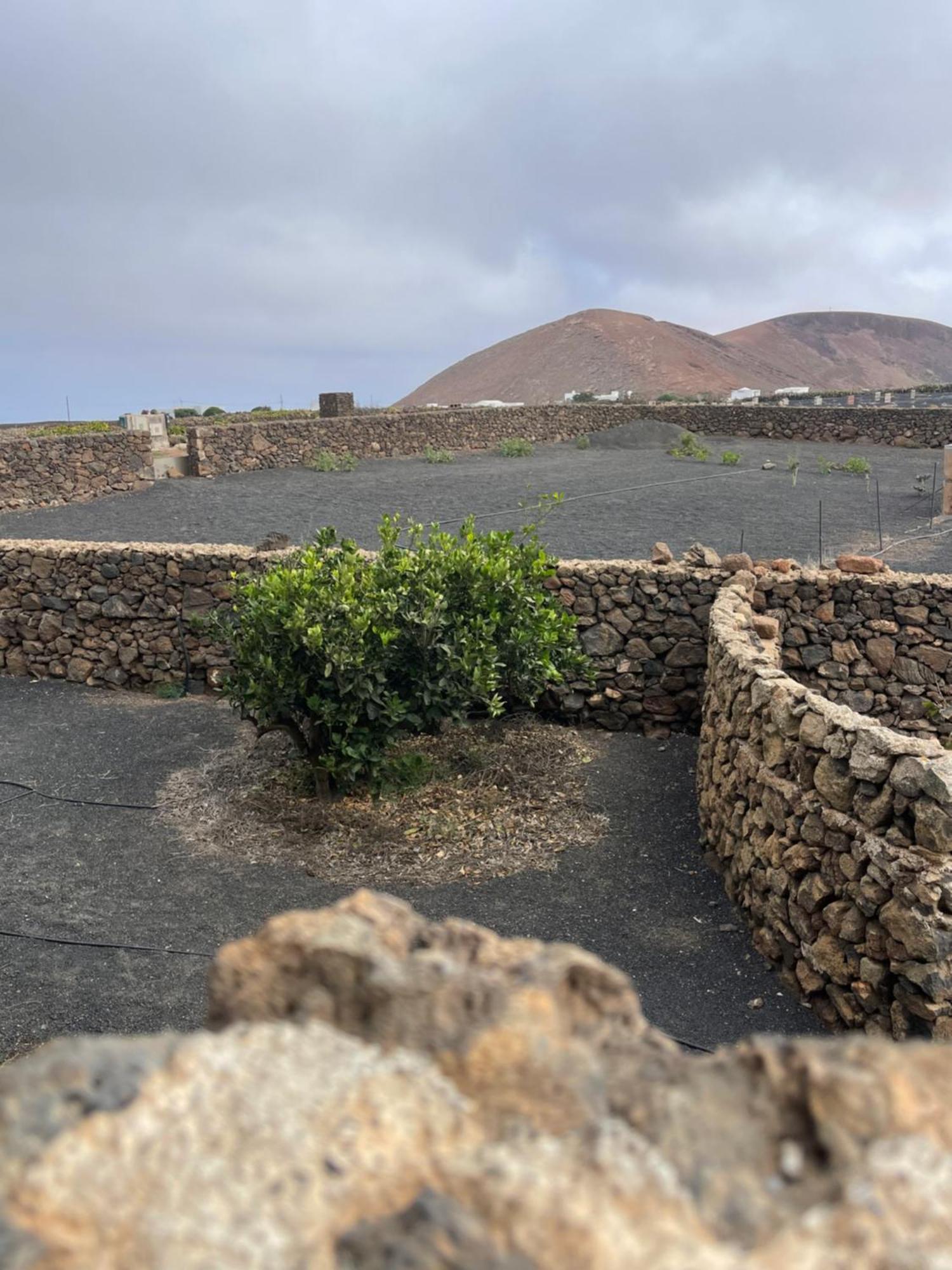 Villa Timanfaya Tinajo Exterior photo