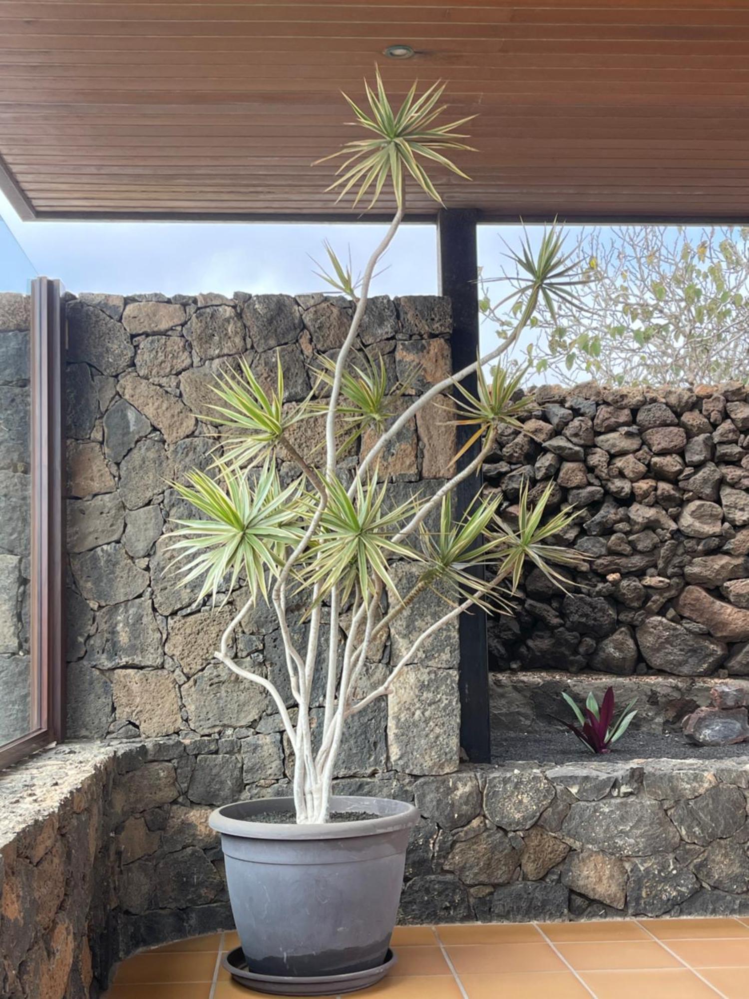 Villa Timanfaya Tinajo Exterior photo